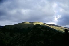 03_OTAVA_705017_L_005_