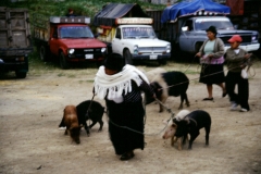 03_OTAVA_705017_L_015_