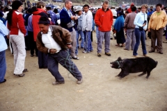 03_OTAVA_705017_L_018_