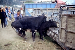 03_OTAVA_705017_L_020_