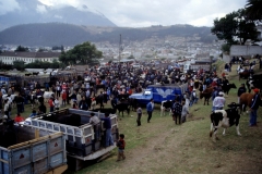 03_OTAVA_705017_L_022_