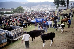 03_OTAVA_705017_L_023_