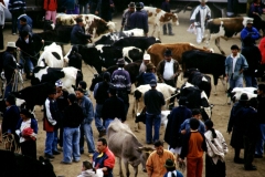 03_OTAVA_705017_L_032_