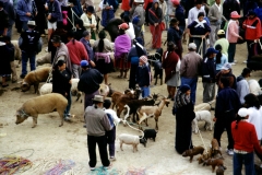 03_OTAVA_705017_L_033_