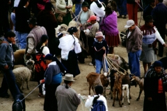 03_OTAVA_705017_L_035_