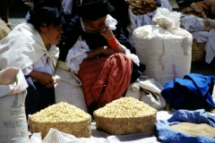 04_OTAVA_705028_L_020_