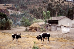 05_OTAVA_705027_L_018_