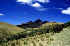 07_PASATS_705029_L_021_