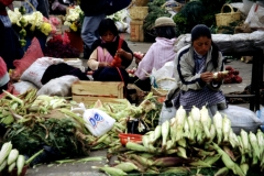 08_CIMBO_705043_L_010_