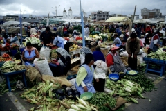 08_CIMBO_705043_L_015_