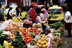 08_CIMBO_705043_L_017_