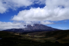 08_CIMBO_705043_L_030_