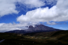 08_CIMBO_705043_L_031_