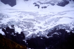 11_ALTAR_705024_L_028_