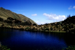 12_ALTAR_705044_L_018_