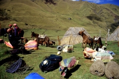 14_ALTAR_705018_L_008_