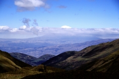 14_ALTAR_705018_L_012_