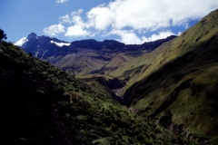 14_ALTAR_705018_L_014_