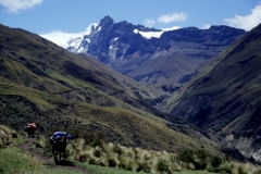 14_ALTAR_705018_L_016_