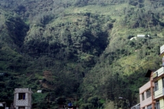 14_ALTAR_705018_L_033_