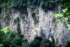 14_ALTAR_705018_L_037_