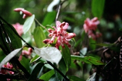 15_BANOS_705020_L_019_