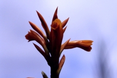 16_BANOS_548092_Large_005_