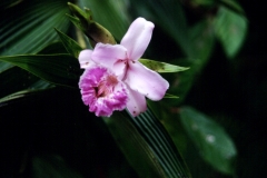 16_BANOS_548092_Large_025_