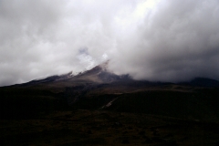 18_COTOP_705019_L_018_