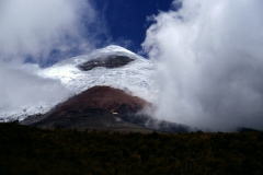 18_COTOP_705019_L_021_