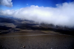 18_COTOP_705019_L_024_