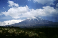 18_COTOP_705019_L_033_