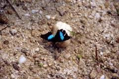 20_RW_C1_705042_L_028_