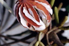 20_RW_C1_705042_L_031_