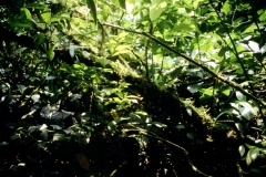 21_RW_C1_705039_L_018_