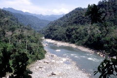 22_RW_C1_705031_L_027_