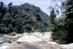 22_RW_C1_705031_L_039_