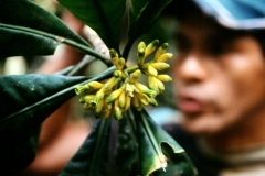 23_RW_C2_705016_L_023_