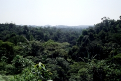 23_RW_C2_705016_L_029_