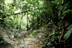 23_RW_C2_705016_L_032_