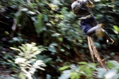 24_RW_C2_705033_L_009_