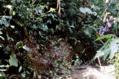 24_RW_C2_705033_L_011_