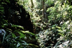 24_RW_C2_705033_L_022_