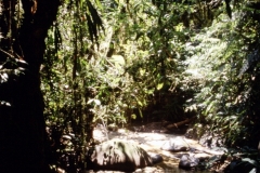 24_RW_C2_705033_L_023_