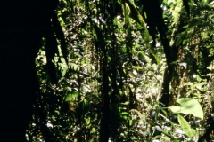 24_RW_C2_705033_L_025_