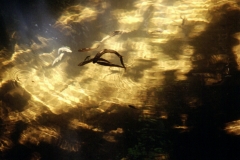 24_RW_C2_705033_L_036_