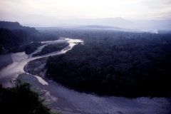 25_RW_C2_705025_L_025_