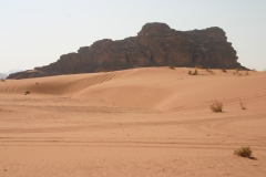 Wadi00057