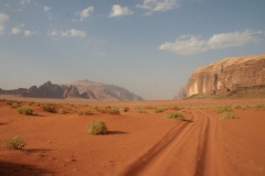 Wadi00113
