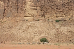 Wadi00134